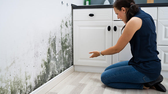 Wall Mold Rescue: Your Ultimate Guide to Prevention and Elimination